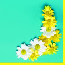 Салфетки 16 л. 33х33, 2-х сл., 16 уп/кор., Арт. 56422